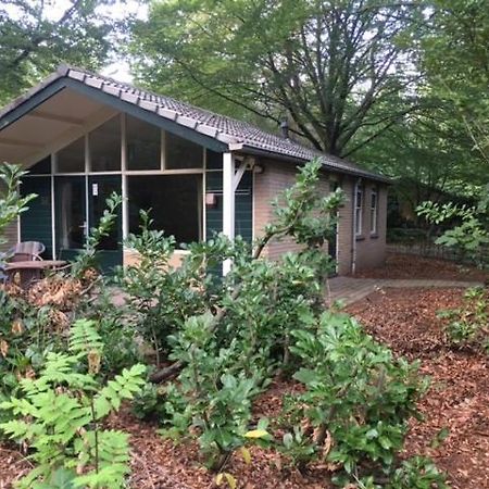 אפ Vakantiebungalow De Schaapskooi מראה חיצוני תמונה