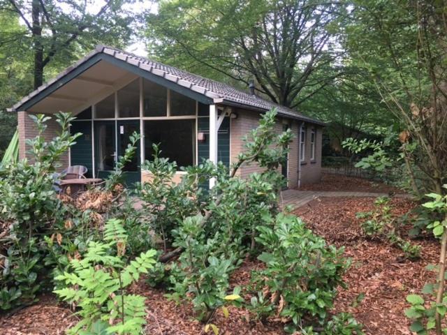 אפ Vakantiebungalow De Schaapskooi מראה חיצוני תמונה